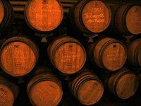 2015 Wein 223
